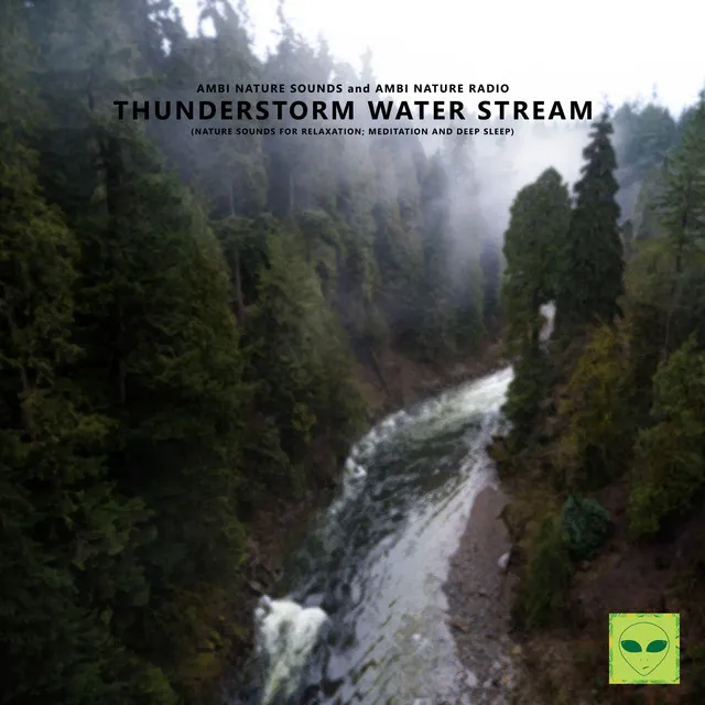 Thunderstorm Water Stream (Nature Sounds for Relaxation, Meditation and Deep Sleep)