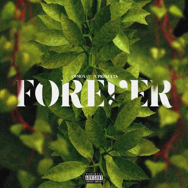 Forever (feat. Raiza Biza, Nash, Blaze the Emperor & Bianca Paulus)