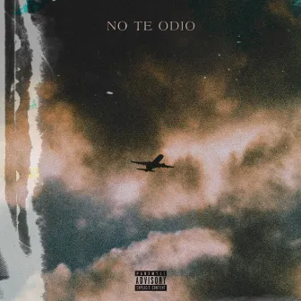 No Te Odio by Raee G