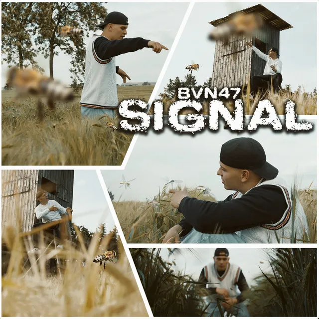 Signal