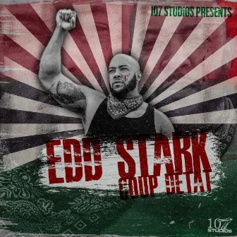 Coup D'etat by Edd Stark