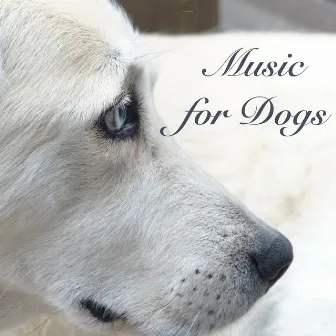 Music for Dogs - Sleeping Songs for Pet Therapy and Soothing Sounds to Send Your Dog to Sleep by Dog Whisper