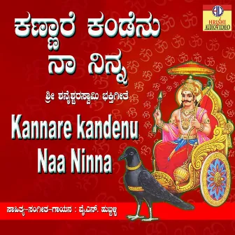 Kannaare Kandenu Naa Ninna - Single by Y. N. Hubballi