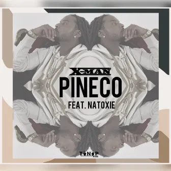 Pineco by X-Man