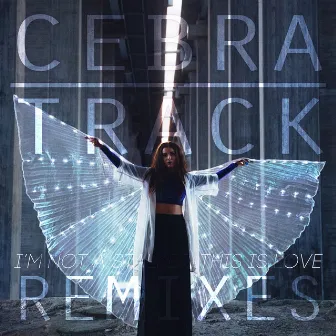 I'm Not a Stalker, This is Love (Remixes) by Cebratrack