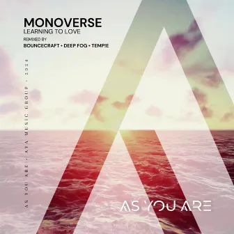 Learning to Love Remixed by Monoverse