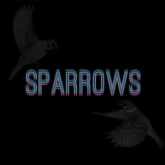 Sparrows by Iakopo