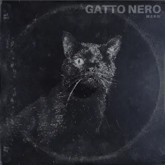 Gatto Nero by M E R O