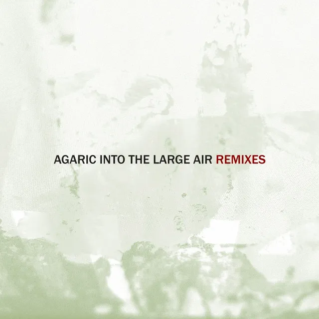 Into the Large Air, Pt. 1 (Remixes)