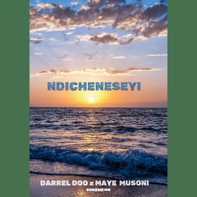 Ndicheneseyi