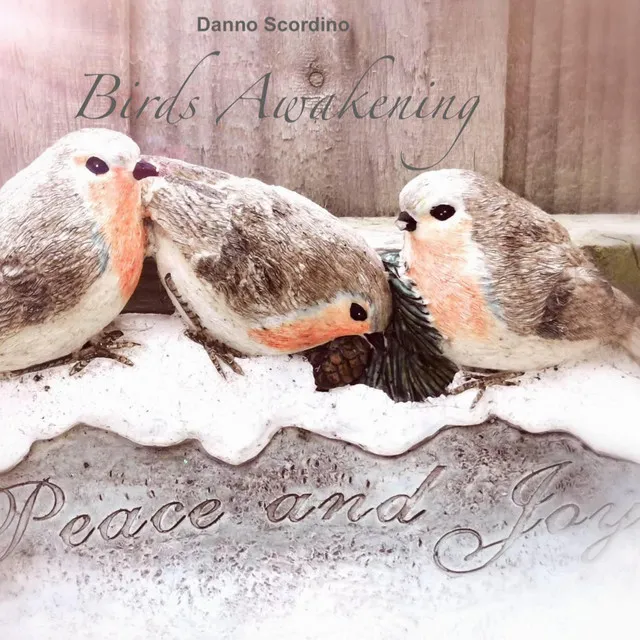 Birds Awakening (Original Soundtrack) [In Memory Of The Ones In Heaven]