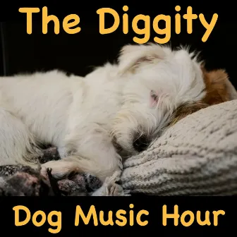 The Diggity Dog Music Hour by Fletcher