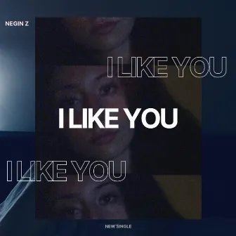 I like you by Negin Z