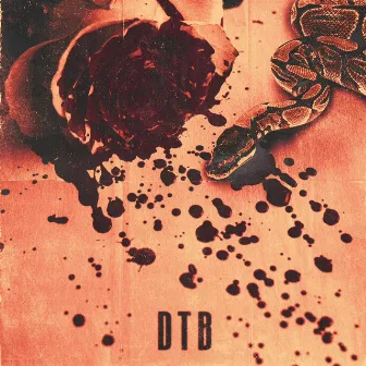 DTB by Late Matt