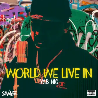 World We Live In by YSB Nic