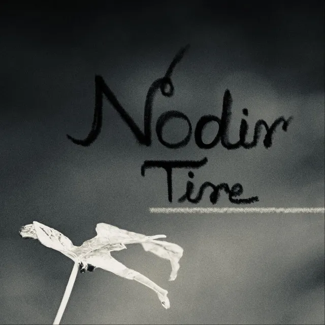 Nodir Tire