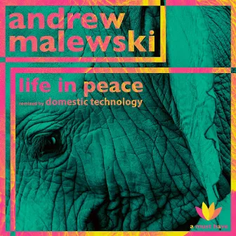 Life in Peace by Andrew Malewski