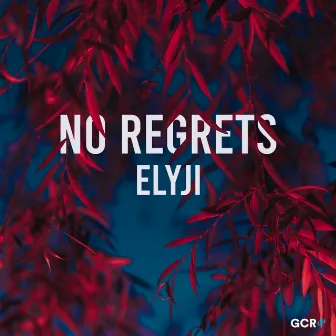 No Regrets by Elyji