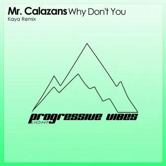 Why Don't You (Kaya Remix) by Mr. Calazans