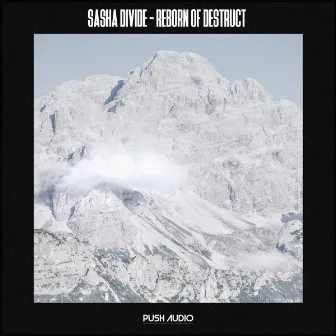 Reborn of Destruct by Sasha Divide