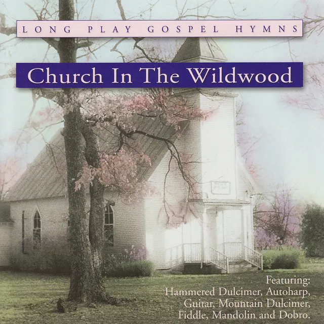 Church In The Wildwood