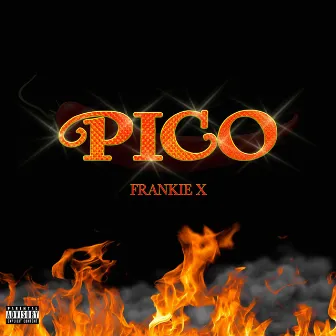 Pico by Frankie X