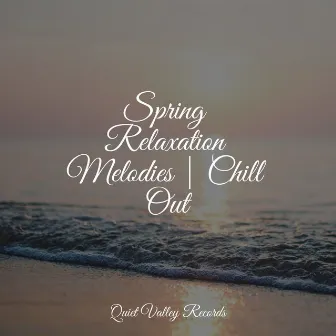 Spring Relaxation Melodies | Chill Out by Loopable Sounds for Babies