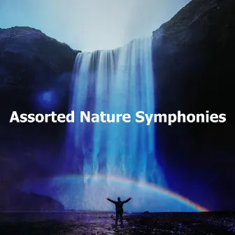 Assorted Nature Symphonies by Sleeping Nature Sound