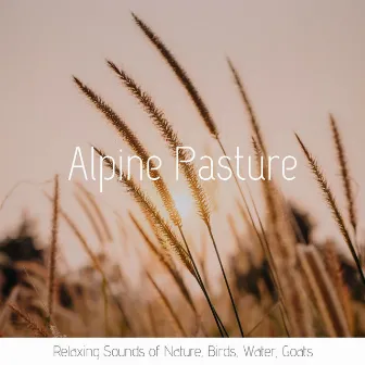 Alpine Pasture: Relaxing Sounds of Nature, Birds, Water, Goats by Liquid Spirit Out