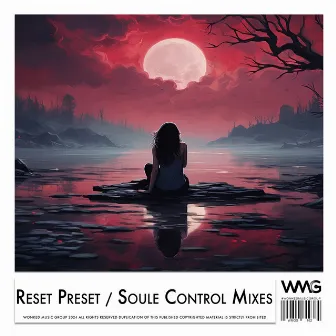 Soule Control Mixes by Reset Preset