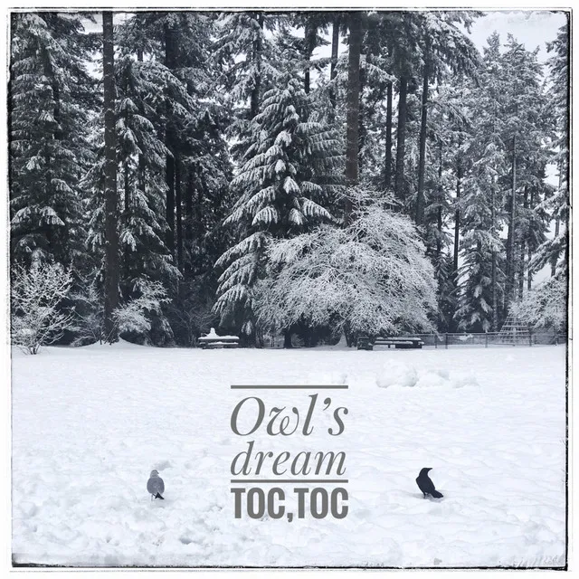 Owl's dream (feat. KIM KEE WON)