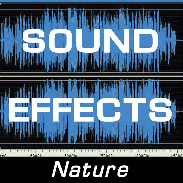 Sound Effects: Nature