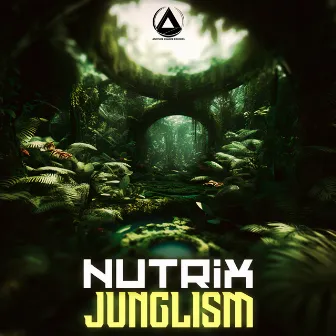 Junglism by NuTRiX