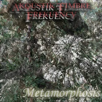 Metamorphosis by Akoustik Timbre Frekuency