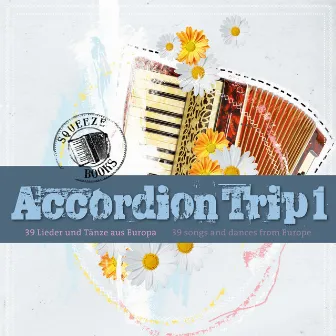 Accordion Trip 1 by Heinz Hox