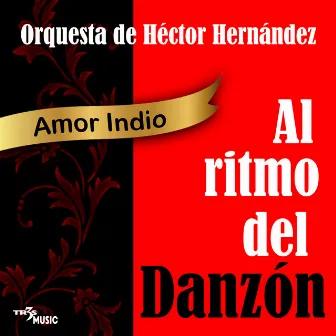 Amor Indio Al Ritmo Del Danzón Orquesta De Hector Hernández Vol.2 by Orquesta De Hector Hernandez