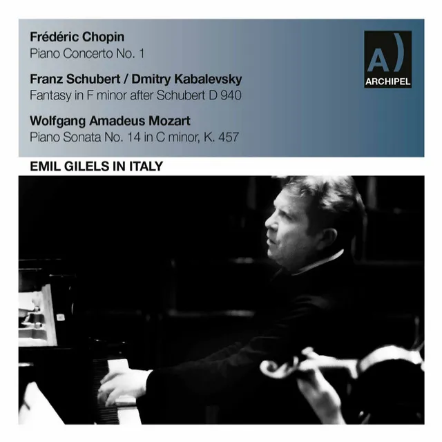 Fantasy in F Minor: I. Allegro molto moderato - Più mosso - Tempo I (After F. Schubert's D. 940)