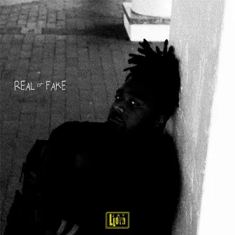 Real or Fake by Jay Lloyd