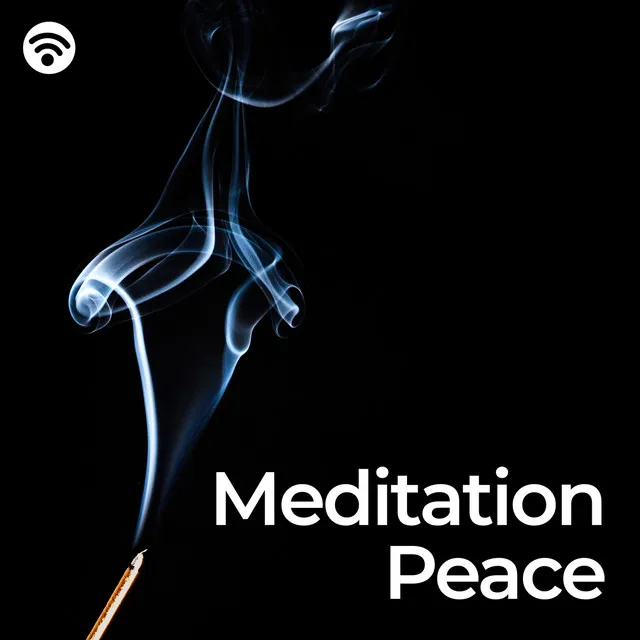 Mindfullness Meditation World / Spiritual Meditation Vibes