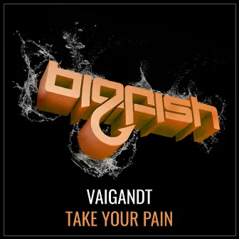 Take Your Pain by Vaigandt