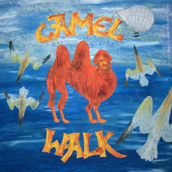 Camel Walk by New Strangers