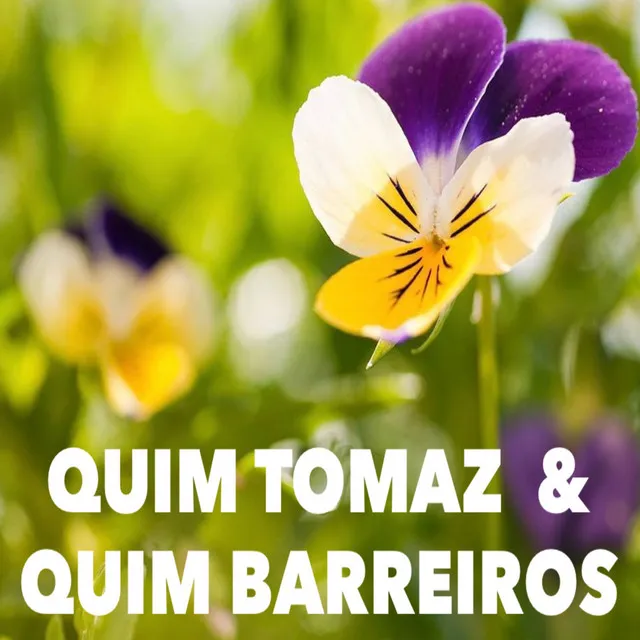 Quim Tomaz