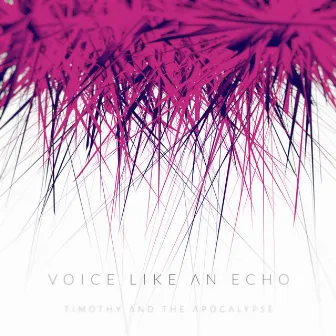 Voice Like An Echo by Timothy and the Apocalypse