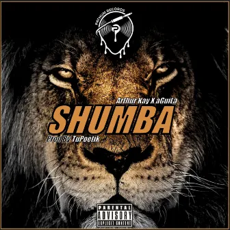 SHUMBA by Arthur Kay