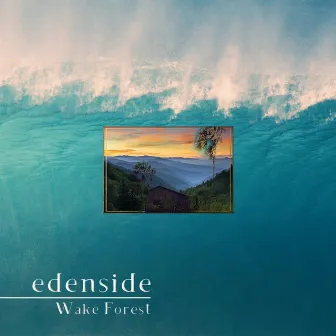 Wake Forest (feat. Walt Grizzly) by Edenside