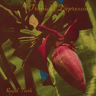 Tropical Depression by Royal Teeth