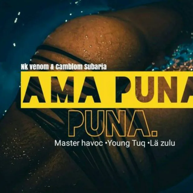 amapuna puna