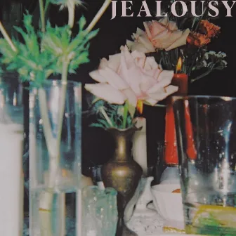 Jealousy by Andrea Nayeli