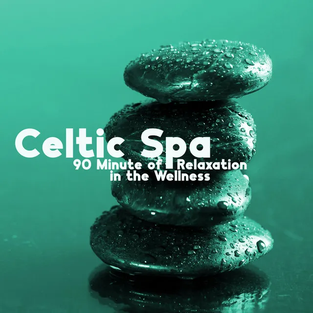 Celtic Spa: 90 Minute of Relaxation in the Wellness