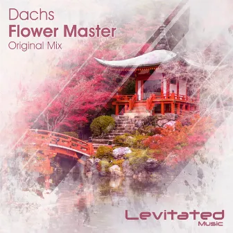 Flower Master by Dachs